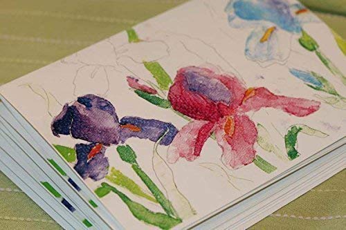 Blank Watercolor Note Cards With Envelopes - Field of Iris set of 6