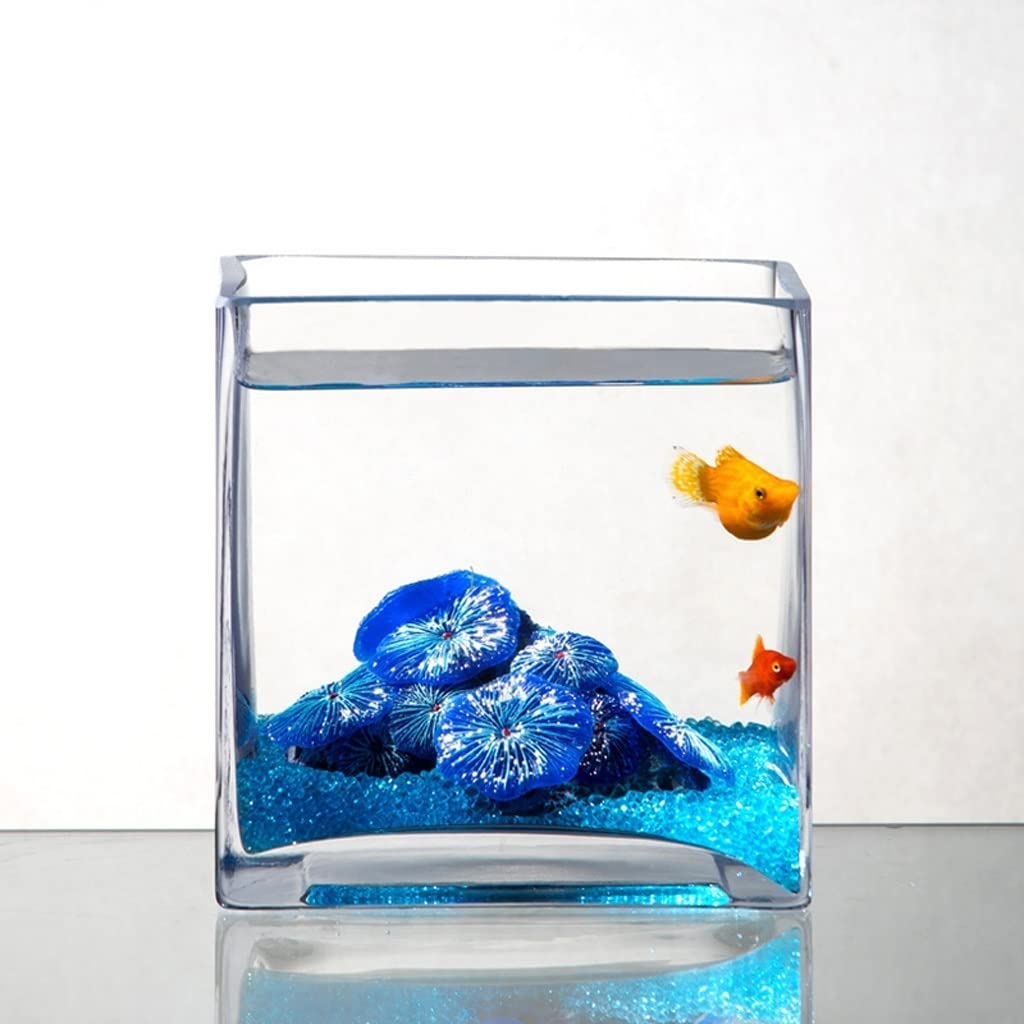 Pecera de Cristal Cuadrada Creativa con Personalidad para Peces, Acuario, Sala DVA con Personalidad para Peces, Acuario, Sala de Estar, Escritorio, decoración para Acuario, pecera Genial (M)