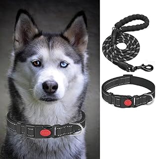 Dog Collar and Lead Set, Adjustable Nylon Collar with Breathable Soft Neoprene, Reflective Dog Leash with Comfortable Padded Handle for Small, Medium and Large Dogs (S, Black)