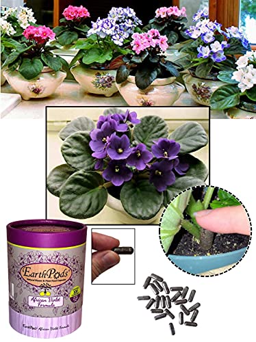 EarthPods Bio-Organic Fertilizante para Violetas miniatura 3