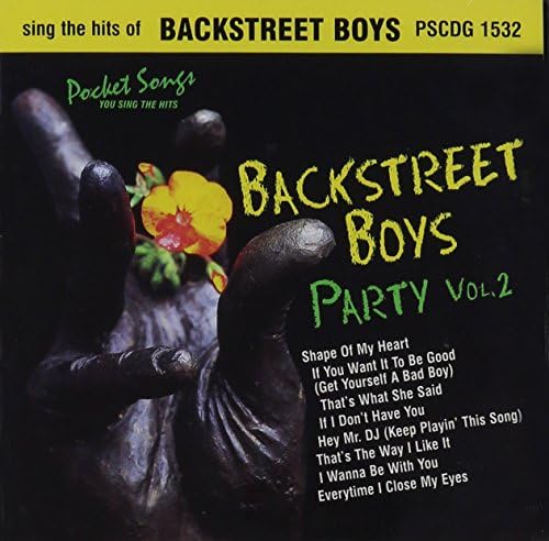 Sing The Hits Of The Backstreet Boys - Backstreet Boys Party Vol.2