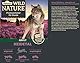 Dehner Wild Nature Hundefutter Heidetal, Nassfutter getreidefrei / zuckerfrei, für ausgewachsene Hunde, Lamm, 6 x 800 g Dose (4.8 kg)