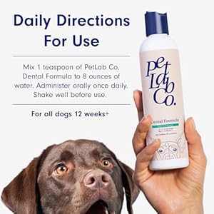 Petlab-Co-Dog-Dental-Formula-Keep-Dog-Breath-Fresh-and-Teeth-Clean-Supports-Gum-Health-Water-Additive-Dental-Care-Targets-Tartar-Packaging-May-Vary - Cucciolini Doodles   Petlab-Co-Dog-Dental-Formula-Keep-Dog-Breath-Fresh-and-Teeth-Clean-Supports-Gum-Health-Water-Additive-Dental-Care-Targets-Tartar-Packaging-May-Vary