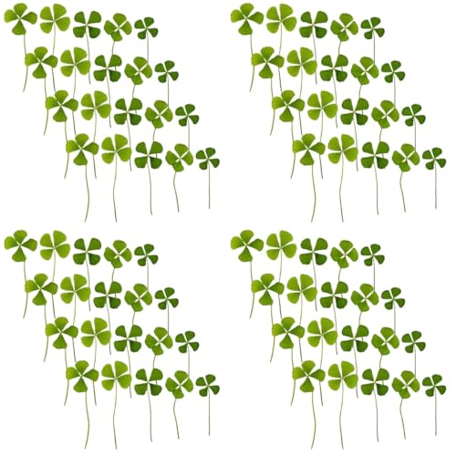 Flores secas trébol de 4 hojas para manualidades miniatura 3