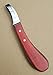 Hoof Knife Loop Oval Farrier Equine Horse Stainless Steel Blade Rainbow Wooden Handle