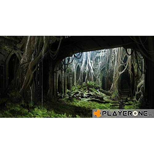 Dragon Age Inquisition Ps3 - vue 6