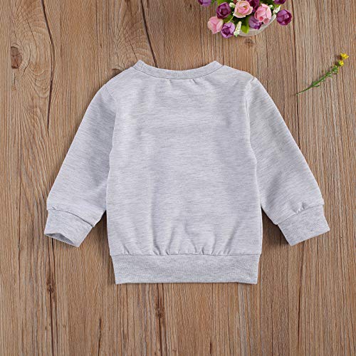 Duanyozu Toddler Baby Girl Boy Merry Christmas Sweater Shirt Tops Pullover Sweatshirt Fall Winter Outfit Clothes (E-Merry Christmas Grey, 18-24 Months) #TOP5
