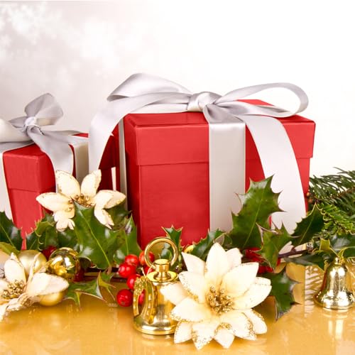 Image of Hlonon Red Tissue Paper for Gift Bags - 30 Sheets of Red Wrapping Tissue Paper Bulk Packaging Paper for Weddings Birthday DIY Project Christmas Gift Wrapping Crafts Decor (14 x 20 Inch)
