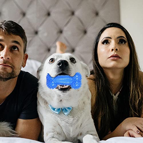 Super Chew Dog Toy,Bone-Piercing Shape Design Dentes Limpeza Mastiga Brinquedo Para Cão | Brinquedo