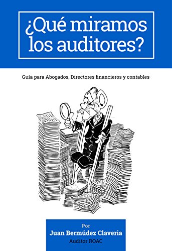¿Qué Miramos los Auditores?
