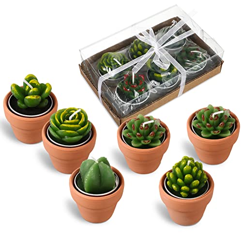 Treela 6 Pcs Succulent Candles Decorative Cactus Candles Tealight Candle Novelty Tea Cactus Candle Handmade Baby Shower Home Decorations Plant with Mini Terracotta Clay Holders for Birthday Wedding