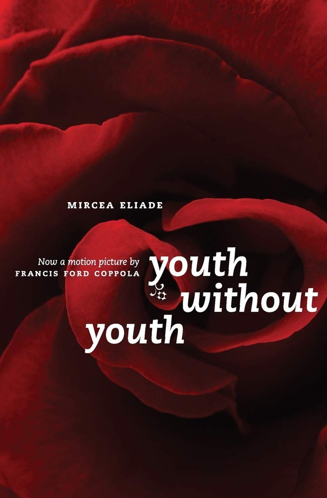 Youth Without Youth (Emersion: Emergent Village resources for communities of faith)