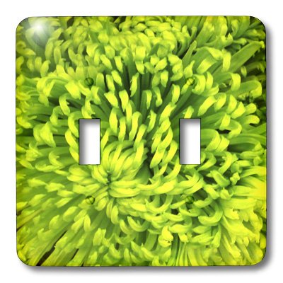Interrupteur double motif floral vert citron résistant aux rayures pour mur intérieur