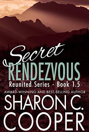 Cover zum Buch Secret Rendezvous