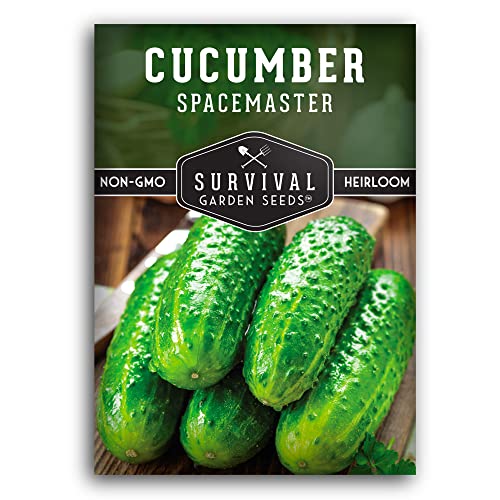 Best Container Cucumbers [Top 15 Picks] BNB