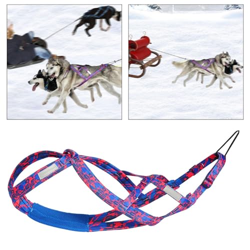 Colcolo Hunde-Laufgeschirr, Zuggeschirr, Geschwindigkeitstraining, Sport, Profi, Schlittengeschirr, Rosenrot M