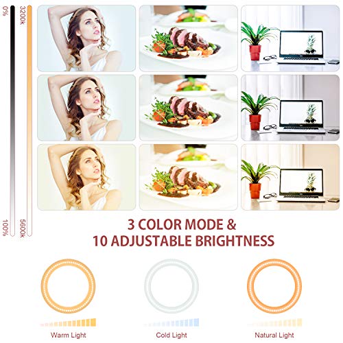 10" Ring Light with Stand and Phone Holder, HQOON Upgraded LED Selfie Ringlight with 52" Extendable Tripod Stand for Makeup/Photography/Live Stream/Video Recording, Compatible with Phones and Cameras - Thumbnail 5