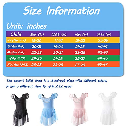image for DIPUG Ballet Leotards for Girls Ballet Leotard With Skirt Toddler Danc