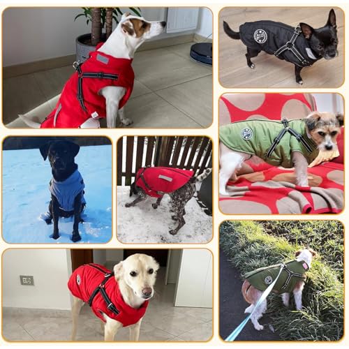 Hundemantel, Winter Hundejacke Wasserdicht Winddichte mit bauchschutz, Outdoor Hunde Wintermantel Hundeweste mit Fleece Gefütterte Reflektierend für Kleine Mittelere und Große Hunde