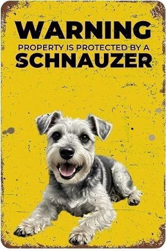 Warning Schnauzer Personalized Cafe Wall Decor Metal Gifts for Friends Families and Holiday Tin Sign 8x12 Inch