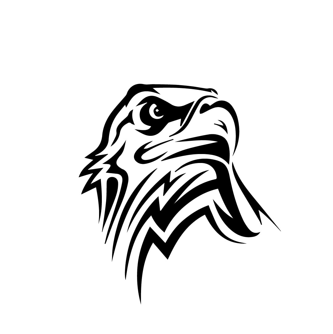 ISEE 360® Eagle Bird Laptop Trackpad Skin Sticker for All Laptop PVC Vinyl Decal Black L X H 8 X 7.3 CMS (B09JNW7GM7) Amazon Price History, Amazon Price Tracker