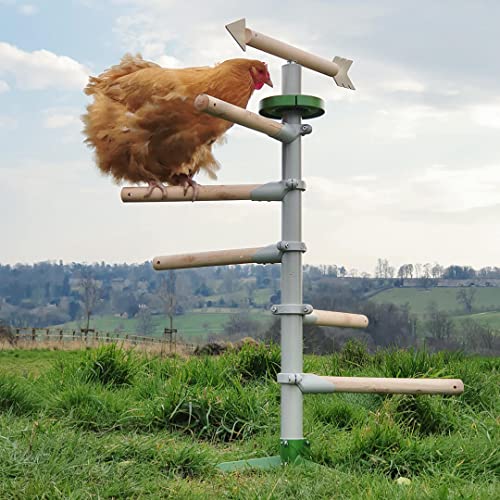 Image of Omlet Freestanding Chicken Perch | Sturdy Wooden Universal Roosting System | Exercise, Train and Treat Your Chickens! | Place Anywhere in Your Yard | Perching Pleasure Kit