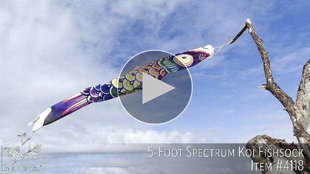 Amazon.com : In the Breeze Spectrum Koi Fish Windsock, 5