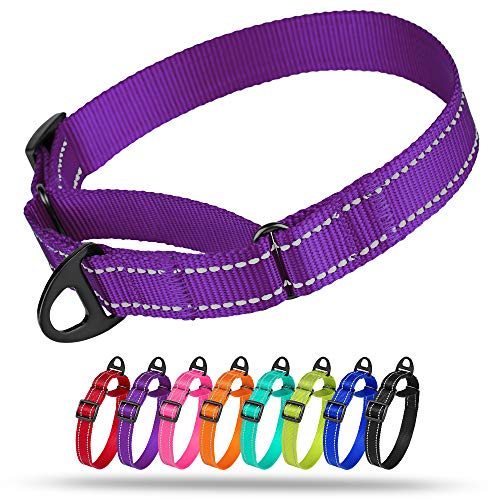 Best Sellers The most popular items in Dog Slip
