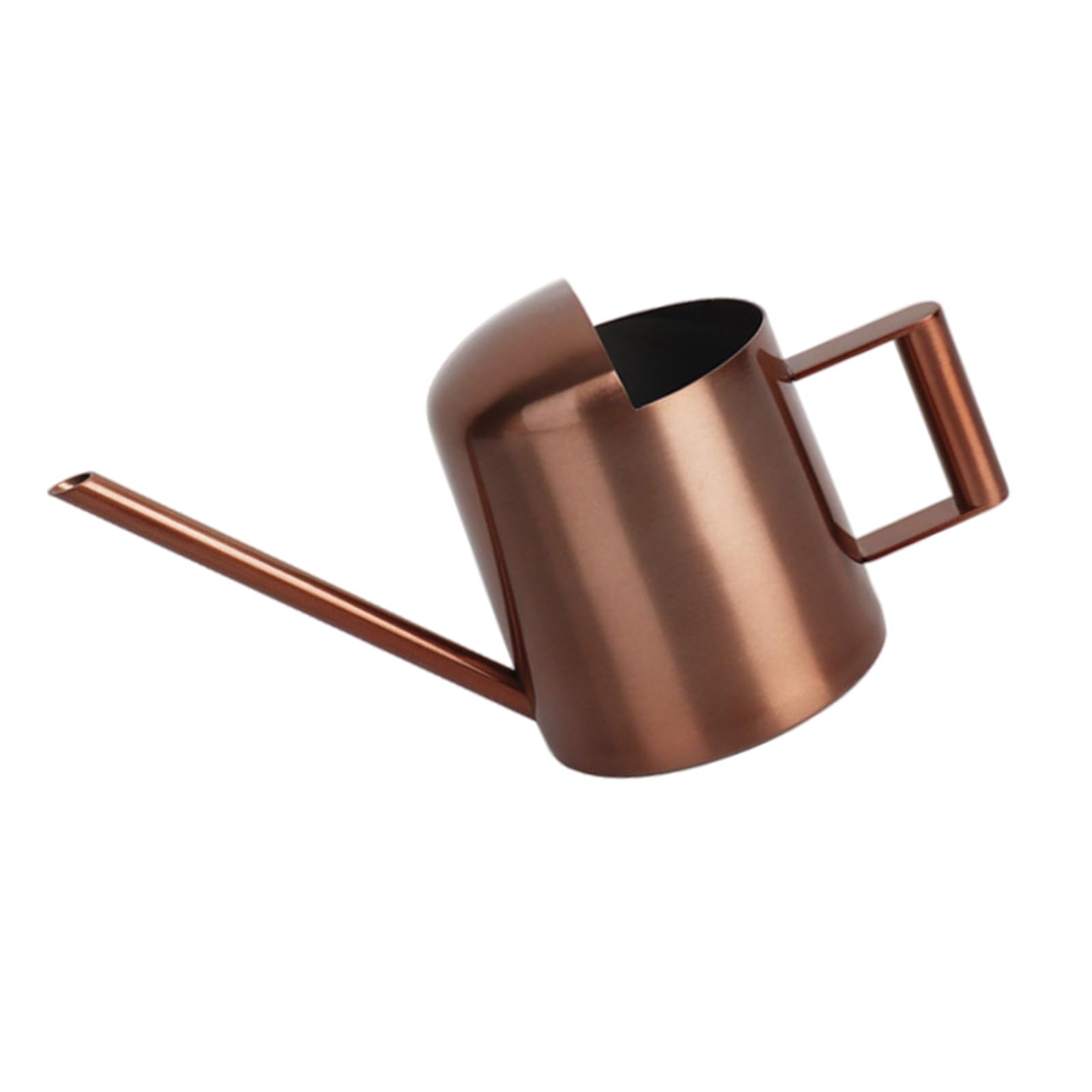 Indoor Watering Can for House Plant Stainless Steel Watering Can Metal with Long Spout Indoor Plant 300ML