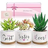 Birthday Gifts for Sister, Sisters Gifts from Sister, Succulent Pots Best Sister Ever Gift...