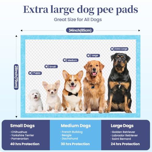 Image of SCLOSE XL Dog Pee Pads 100 Count, 34 inchx28 inch Disposable Puppy Training Pads