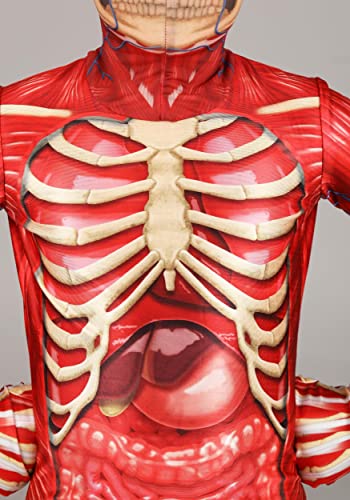 Disfraz infantil esqueleto muscular anatómico miniatura 6