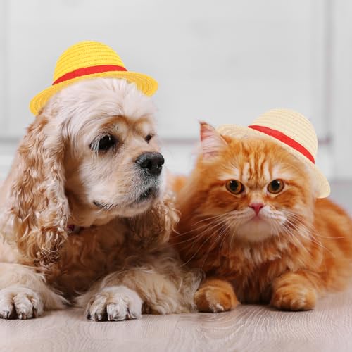 Sombrero de paja para mascotas para fiesta Halloween miniatura 6