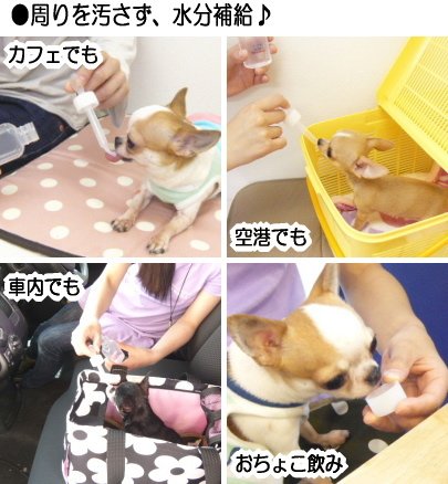 毒チワワ様取り置き 毒チワワ様取り置き すずめ on X: