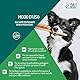 SweetHerd 3-in-1-Lotion zum Entwirren ohne Ausspülen mit Talkum für Hunde und Katzen – Made in Italy und Cruelty Free – 200 ml, weiches Haar, strahlend und zart parfümiert