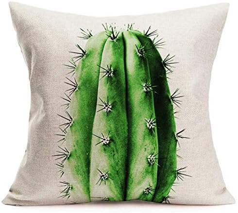 Hopyeer Rustic Mexican Desert Cactus Plant Throw Pillow Covers Green Pot Bonsai Realistic Cotton Linen Pillow Case Square Home Sofa Couch Chair Pillow Cushion Case Cover 18"x18"(RM-Cactus)
