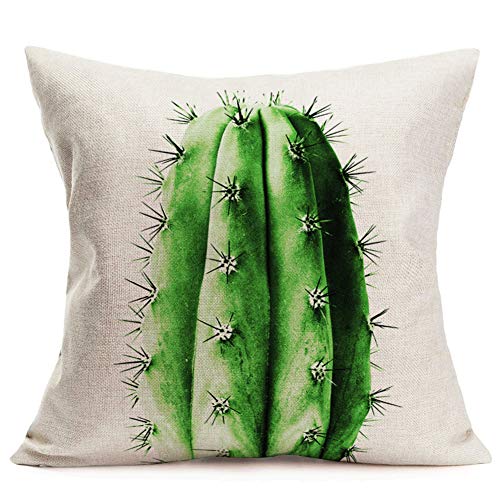 Hopyeer Rustic Mexican Desert Cactus Plant Throw Pillow Covers Green Pot Bonsai Realistic Cotton Linen Pillow Case Square Home Sofa Couch Chair Pillow Cushion Case Cover 18"X18"(Rm-Cactus) #TOP6