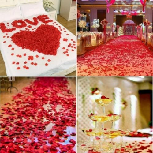Image of SATYAM KRAFT 300 Pcs Artificial Rose Petals for Home Decoration | Table, Bedroom, Wedding, Party, Pooja Thali, Romantic Night, Candle Night Dinner, New Year,Festival & Events (Red)
