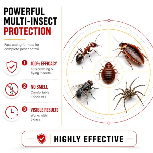 Image of Good Morning All Insect Killer Spray Powder | Fast-Action Formula for Home & Commercial Pest Control | Long-Lasting Protection from Crawling and Flying Insects | Easy-to-Use Sprayable Powder for Indoor & Outdoor Areas (Pack of 12)