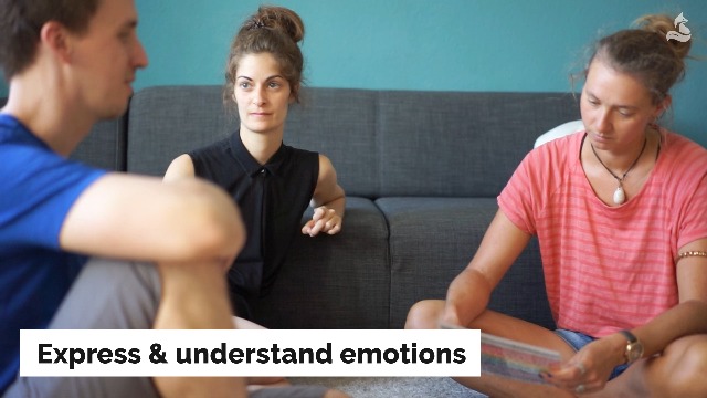 Amazon.com: metaFox Emotions Compass - Nonviolent Communication