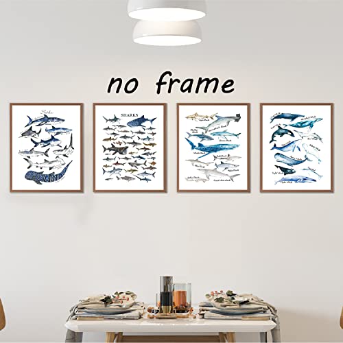 Vnwek Watercolor Rustic Sharks And Whales Wall Art Poster Prints Unframed 8”X10”Set Of 4,Farmhouse Marine Life Decorations For Home Bedroom Living Room Classroom,Gifts For Marine Life Lovers Students (8X10Inch) #TOP2