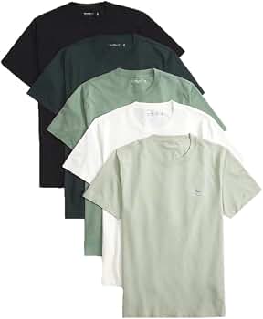 Amazon.co.jp: 5枚SET！アバクロAbercrombie&Fitch半袖ヘンリーTシャツ