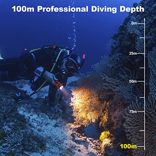 Willcrew Torcia subacquea, 3100 lumen