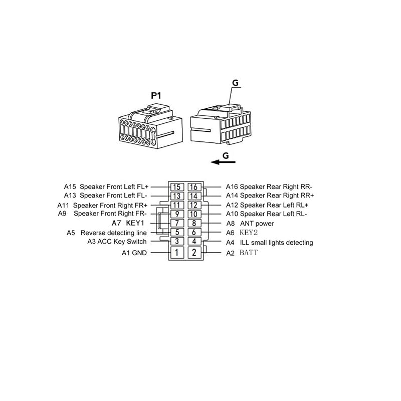Wiring diagram for P1 connector with pin assignments