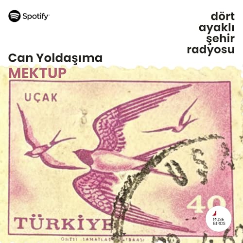 Can Yoldaşıma Mektup | Deniz G&uuml;ndoğan İbrişim&rsquo;in Zeytin&rsquo;e Mektubu