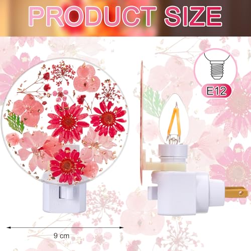 Image of Glooglitter Pressed Flower Night Light Plug in-Handmade Dried Floral Wall Night Light, Soft Glow Decorative Nightlight for Hallway Bedroom Nursery Bathroom, Vintage Botanical(Red,Flower)