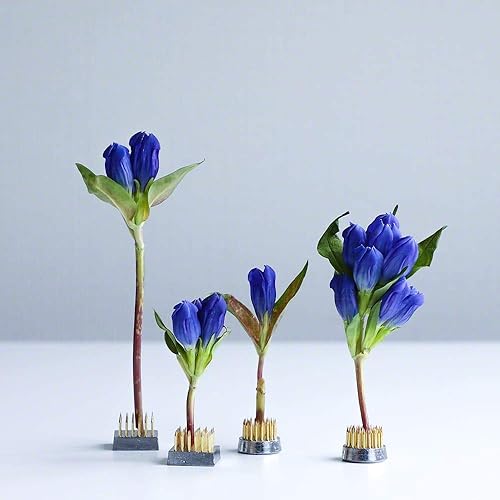 Miniatura 8 de Wazakura 4 mini soportes de flores japonesas Ikebana Kenzan, fabricado en Japón, rana de alfiler floral, cuadrado redondo, 1 pulgada (0.945 in) de