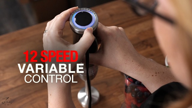 キッチン家電 Zwelling blender Powerful Immersion Blender Handheld (800 Watts)