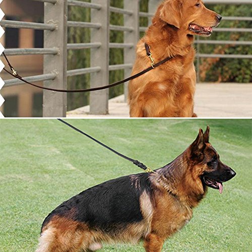 Hundeleine, Länge 3 m, aus echtem Leder, geflochten, Braun, für Hunde oder Mittel, verstellbar, 2 m