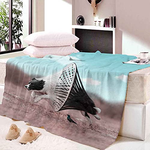 Couverture flanelle microfibre 130x150cm jeté de lit imprimé